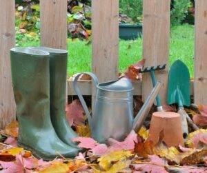 fall gardening