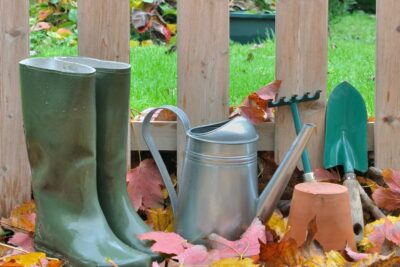 Great Fall Gardening Tips