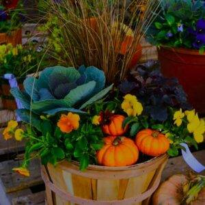 workshop at Thomas Greenhouse
