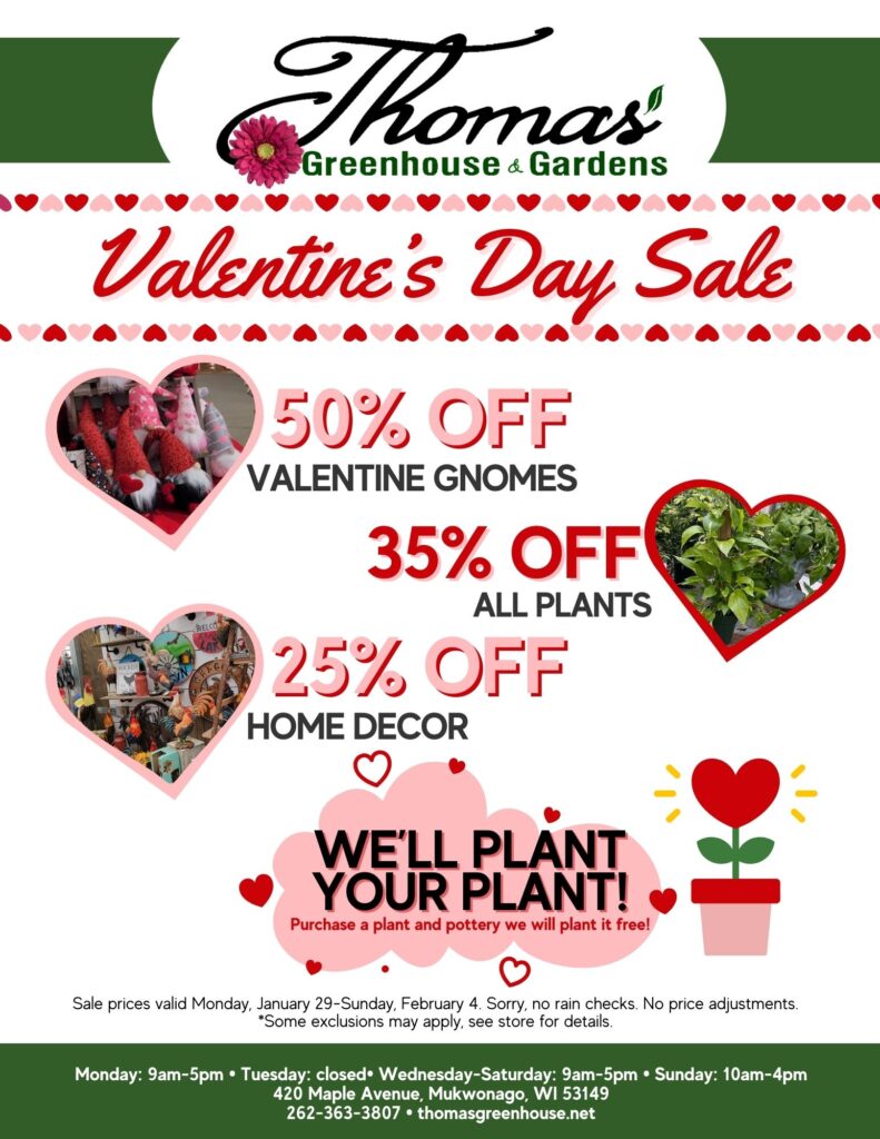 Valentines Day Thomas Greenhouse and Garden Center in Mukwonago. Valentine's Day Sale flyer.