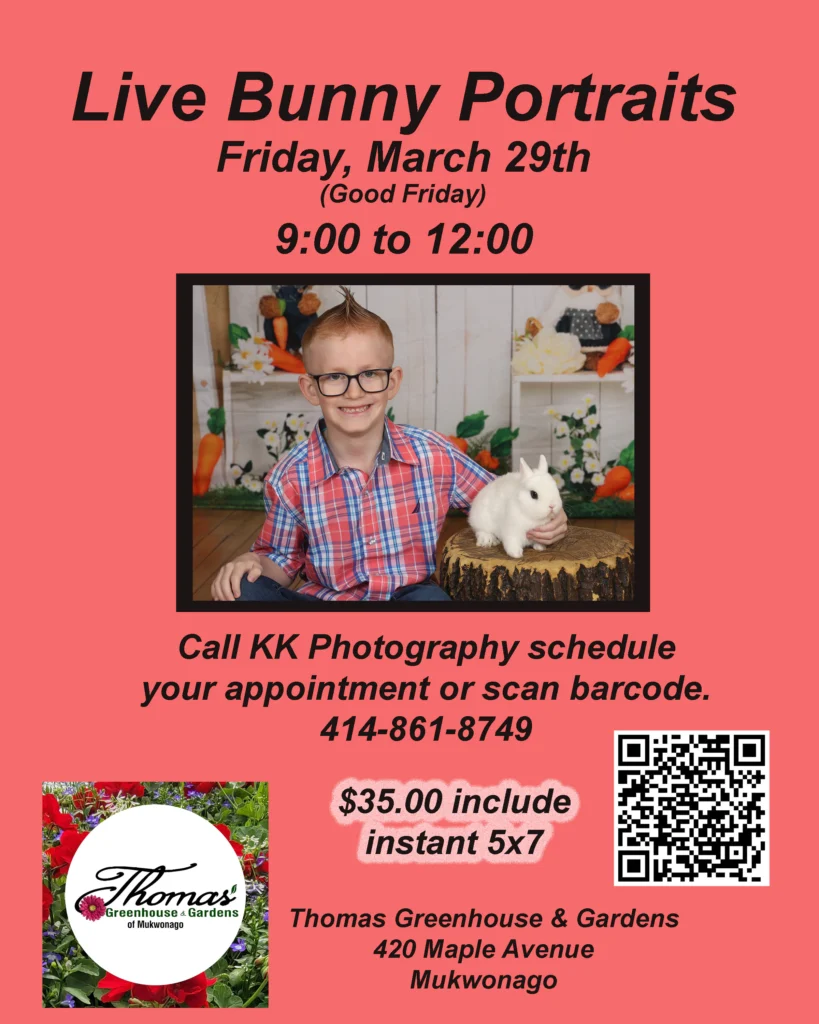 thomas greenhouse bunny bunny photos