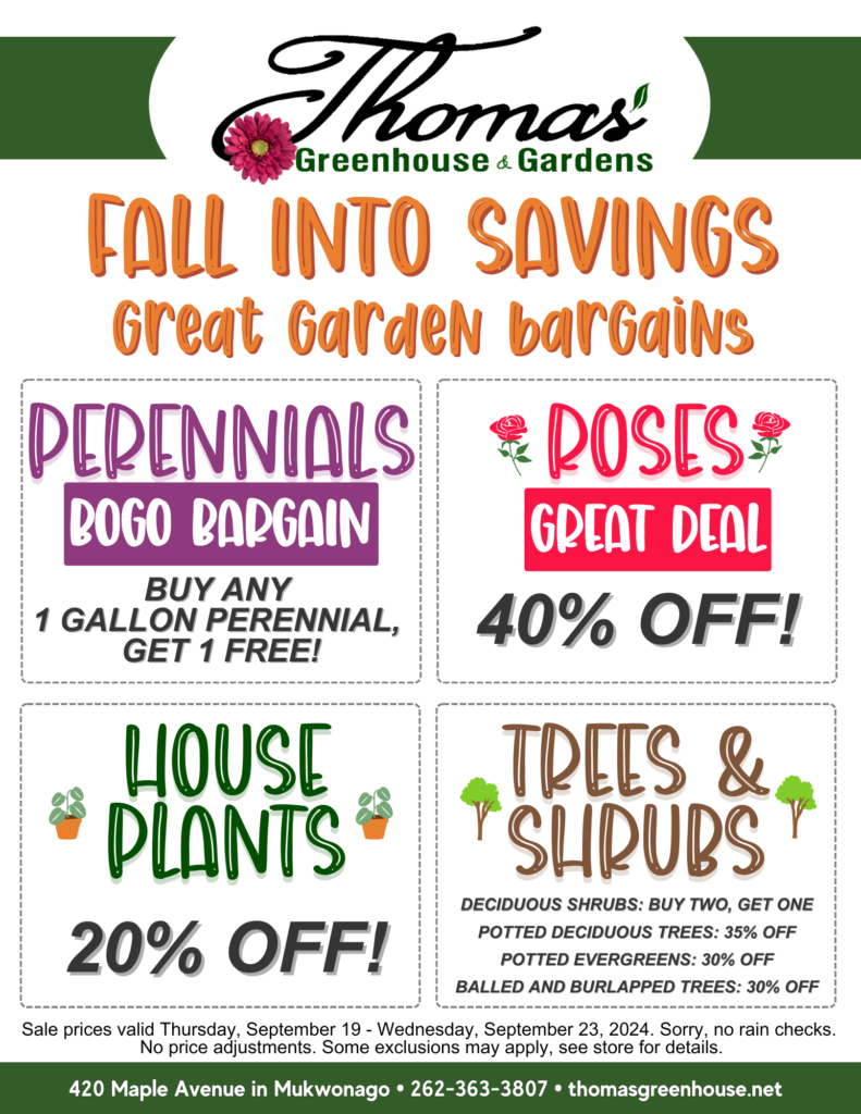 TGH Sale August 22 Thomas Greenhouse & Gardens Fall Into Savings flyer. The flyer has a playful, autumn-themed design with the headline 'Fall Into Savings – Great Garden Bargains.' It highlights various sale items for plants, organized into four sections. Perennials: Buy any 1-gallon perennial, get 1 free (BOGO Bargain), shown in purple. Roses: 40% off (Great Deal), shown in red. Houseplants: 20% off, shown in green. Trees & Shrubs: Deciduous Shrubs: Buy two, get one free. Potted Deciduous Trees: 35% off. Potted Evergreens: 30% off. Balled and Burlapped Trees: 30% off, shown in brown. At the bottom, the flyer notes that the sale is valid from Thursday, September 19 to Wednesday, September 25, 2024, with the location listed as 420 Maple Avenue in Mukwonago. Contact information includes 262-363-3807 and the website thomasgreenhouse.net. It also mentions some exclusions may apply and no rain checks.