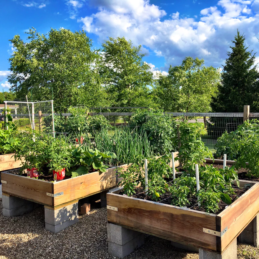 community-garden-2023-11-27-04-50-55-utc raised garden bed