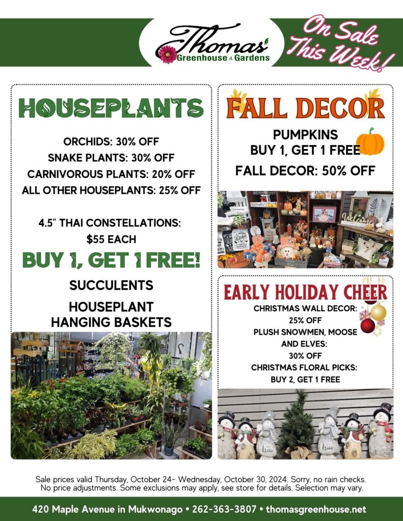 Promotional flyer for Thomas Greenhouse & Gardens advertising the "On Sale This Week!" event, running from Thursday, October 24 to Wednesday, October 30, 2024. The flyer features three main sections: Houseplants, Fall Decor, and Early Holiday Cheer. Houseplants Section: Large green header text reads "Houseplants." Listed deals: Orchids: 30% off Snake Plants: 30% off Carnivorous Plants: 20% off All Other Houseplants: 25% off 4.5" Thai Constellations: $55 each Buy 1, Get 1 Free on: Succulents Houseplant Hanging Baskets Background image shows a lush display of houseplants inside the greenhouse. Fall Decor Section: Large orange header text reads "Fall Decor" with small leaf and pumpkin graphics. Listed deals: Pumpkins: Buy 1, Get 1 Free Fall Decor: 50% off Background image displays shelves of fall-themed decorations, including pumpkins, scarecrows, and autumn signs. Early Holiday Cheer Section: Large red header text reads "Early Holiday Cheer." Listed deals: Christmas Wall Decor: 25% off Plush Snowmen, Moose, and Elves: 30% off Christmas Floral Picks: Buy 2, Get 1 Free Background image shows various holiday decorations, including plush snowmen and festive Christmas arrangements. At the bottom, there is a green banner with the store’s address and contact information: "420 Maple Avenue in Mukwonago • 262-363-3807 • thomasgreenhouse.net." A note below the banner reads: "Sale prices valid Thursday, October 24 - Wednesday, October 30, 2024. Sorry, no rain checks. No price adjustments. Some exclusions may apply, see store for details. Selection may vary.