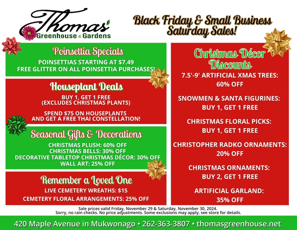 TGH November 2024 Black Friday & Small Biz Saturday - 1 Thomas’ Greenhouse & Gardens Black Friday & Small Business Saturday Sales flyer. Poinsettia Specials: Poinsettias starting at $7.49. Free glitter on all poinsettia purchases. Houseplant Deals: Buy 1, Get 1 Free (excludes Christmas plants). Spend $75 on houseplants and get a Free Thai Constellation! Christmas Décor Discounts: 7.5’-9’ artificial Christmas trees: 60% off. Snowmen & Santa figurines: Buy 1, Get 1 Free. Christmas floral picks: Buy 1, Get 1 Free. Christopher Radko ornaments: 20% off. Christmas ornaments: Buy 2, Get 1 Free. Artificial garland: 35% off. Seasonal Gifts & Decorations: Christmas plush: 60% off. Christmas bells: 30% off. Decorative tabletop Christmas décor: 30% off. Wall art: 25% off. Remember a Loved One: Live cemetery wreaths: $15. Cemetery floral arrangements: 25% off. Sale prices are valid Friday, November 29, and Saturday, November 30, 2024. Located at 420 Maple Avenue in Mukwonago. Phone: 262-363-3807. Website: thomasgreenhouse.net. Note: Sorry, no rain checks or price adjustments. Some exclusions may apply, see store for details