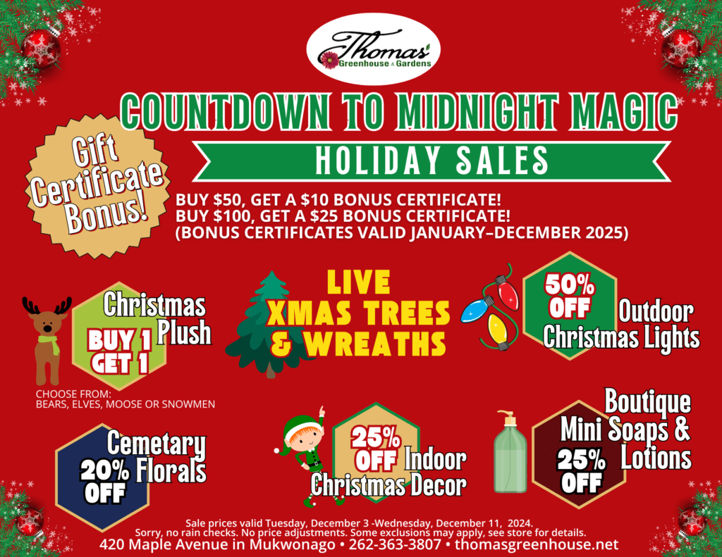 Flyer for Thomas Greenhouse & Garden Center's Countdown to Midnight Magic Holiday Sales featuring festive deals. Key promotions include a gift certificate bonus (spend $50, get $10; spend $100, get $25), Christmas plush toys (BOGO free), 50% off outdoor Christmas lights, 25% off indoor Christmas décor, boutique mini soaps and lotions at 25% off, 20% off cemetery florals, and live Christmas trees and wreaths. Sale valid December 3–11, 2024. Store details: 420 Maple Avenue, Mukwonago, WI. Contact: 262-363-3807 or visit thomasgreenhouse.net.