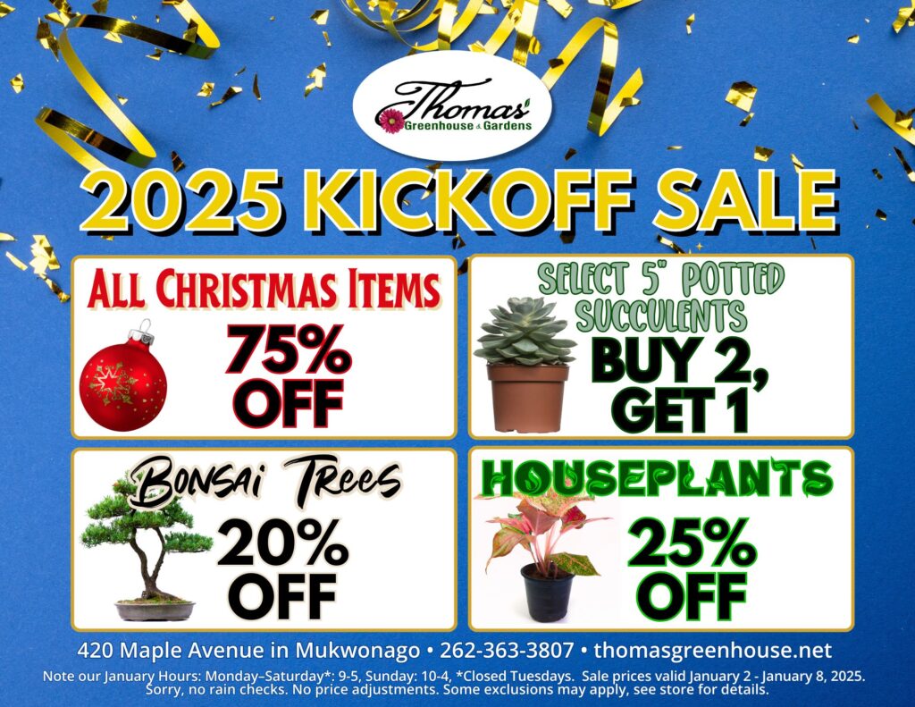 Promotional flyer for Thomas Greenhouse & Garden Center's 2025 Kickoff Sale. Blue background with gold confetti accents. Sale details include: 'All Christmas Items 75% Off' with an ornament image; 'Select 5” Potted Succulents, Buy 2, Get 1 Free' with a succulent image; 'Bonsai Trees 20% Off' with a bonsai tree image; and 'Houseplants 25% Off' with a colorful houseplant image. Sale runs January 2–January 8, 2025. Location: 420 Maple Avenue in Mukwonago. January hours: Monday–Saturday 9–5, Sunday 10–4, closed Tuesdays. Phone: 262-363-3807. Website: thomasgreenhouse.net. Additional notes: no rain checks, some exclusions may apply, see store for details.
