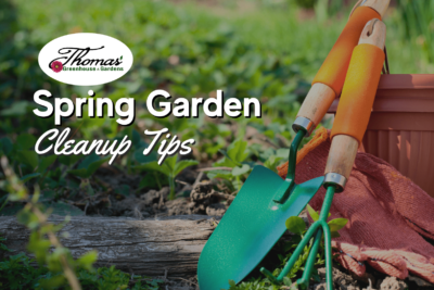 Spring Gardening Cleanup Guide