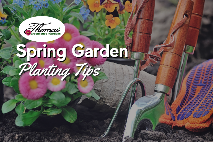 Spring Planting Tips: What, When & How for a Thriving Garden
