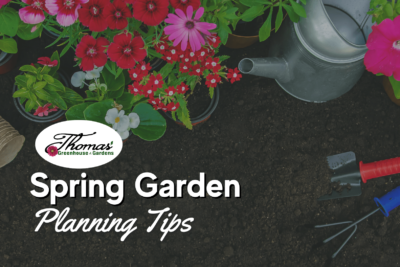 Spring Gardening Planning Tips
