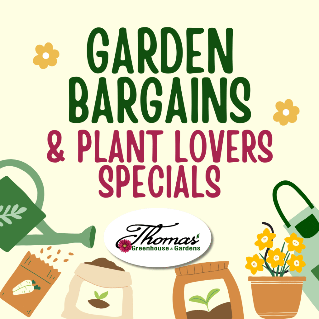 1 Promotional graphic from Thomas’ Greenhouse & Gardens with the headline “Garden Bargains & Plant Lovers Specials.” Surrounded by illustrated gardening items including a watering can, seed packets, potted flowers, and a bag of soil. The Thomas’ logo is centered at the bottom.