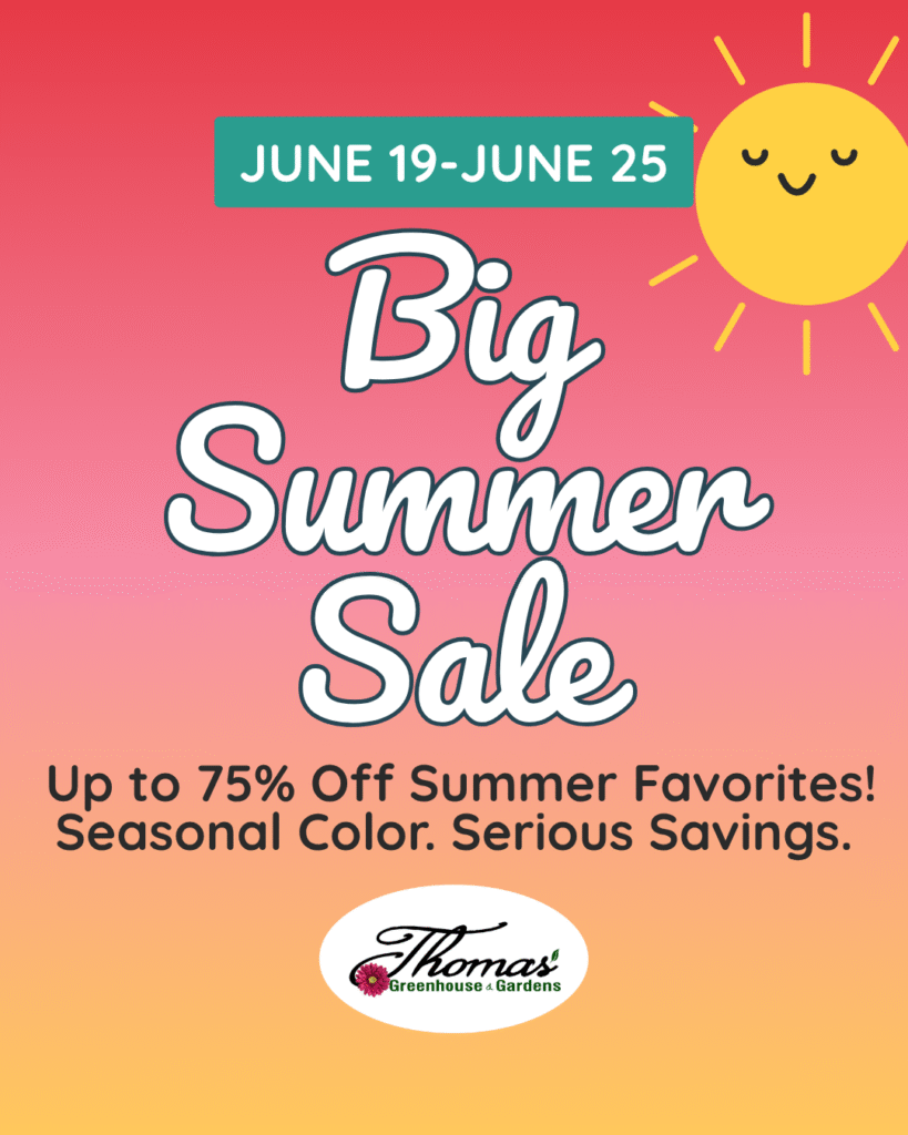 1 Colorful gradient graphic with text that reads “June 19–June 25 Big Summer Sale. Up to 75% Off Summer Favorites! Seasonal Color. Serious Savings.” Includes a cheerful sun illustration and Thomas's Greenhouse & Gardens logo.