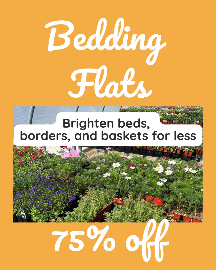 3 Orange background with assorted colorful bedding flats displayed in greenhouse trays. Text reads “Bedding Flats – 75% Off” with the tagline “Brighten beds, borders, and baskets for less.”