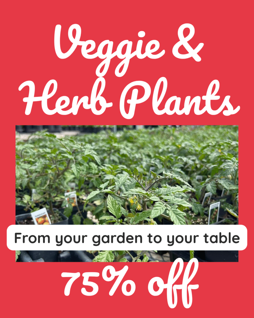4 Red background with rows of green tomato and vegetable plants. Text reads “Veggie & Herb Plants – 75% Off” with the tagline “From your garden to your table.”