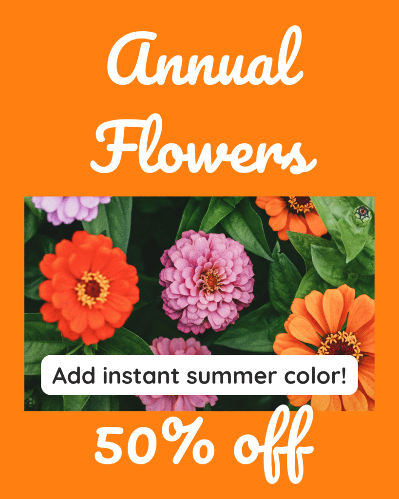 5 Bright orange background with close-up of blooming zinnias in various colors. Text reads “Annual Flowers – 50% Off” with the tagline “Add instant summer color!”