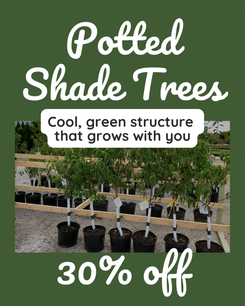 9 Dark green background with rows of potted shade trees at a nursery. Text reads “Potted Shade Trees – 30% Off” with the tagline “Cool, green structure that grows with you.”