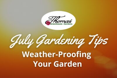 Weather-Proofing Your Garden for July Extremes