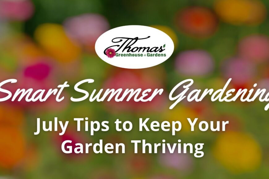 Smart Summer Gardening: July Tips to Keep Your Garden Thriving
