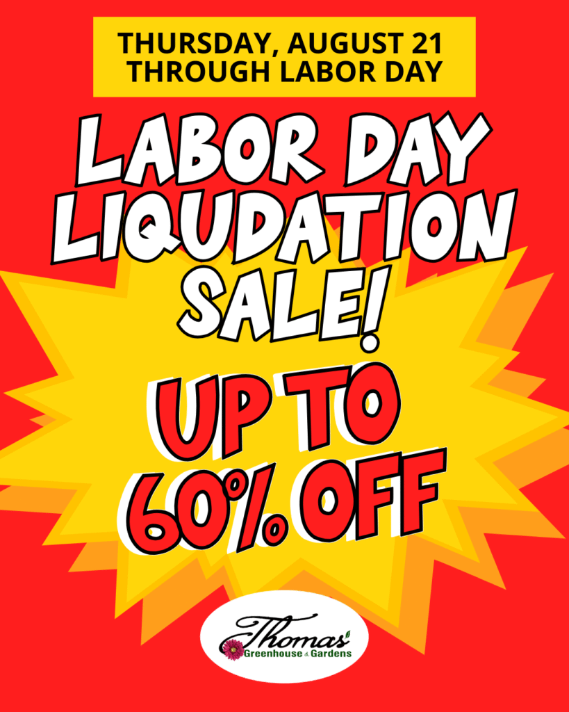 labor-day-liquidation-sale-thomas-greenhouse Thomas Greenhouse Labor Day Liquidation Sale hero banner showing Up to 60% Off, August 21 through Labor Day.