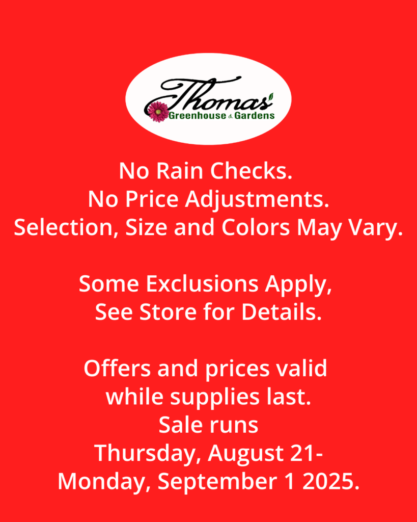 labor-day-sale-terms-conditions-thomas-greenhouse Thomas Greenhouse sale terms and conditions text including no rain checks, prices valid while supplies last, August 21 through Labor Day.