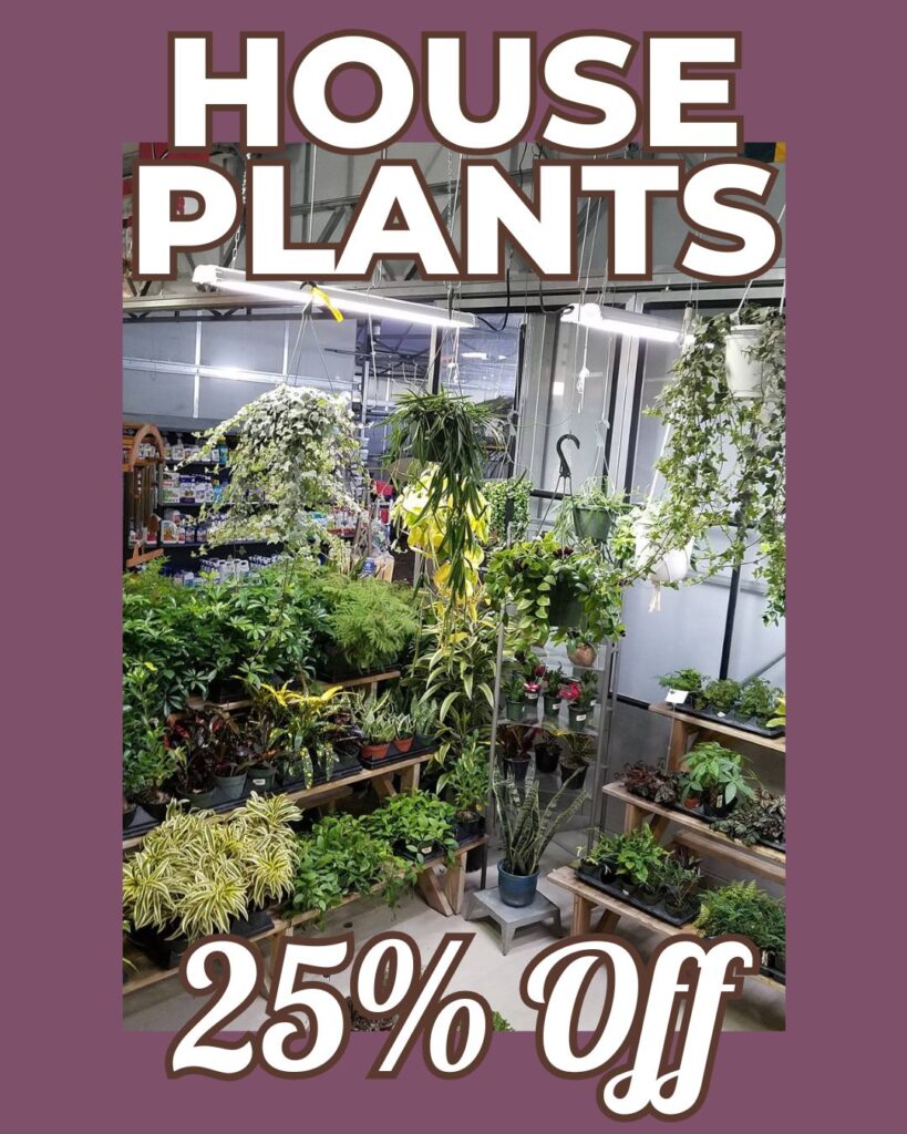 houseplants-25off-october-savings-thomas-greenhouse Thomas Greenhouse October Savings sign for houseplants featuring a greenhouse display of potted plants and text 25 percent off