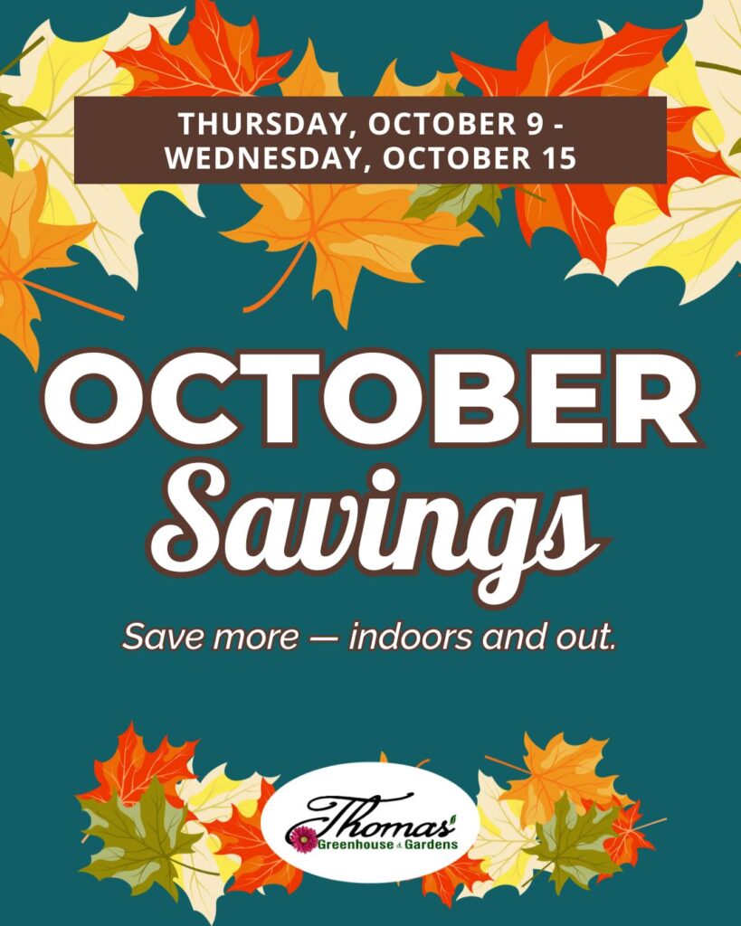 october-savings-hero-thomas-greenhouse Thomas Greenhouse October Savings sign with teal background, orange and gold leaves, and text October 9–15 and Save more indoors and out