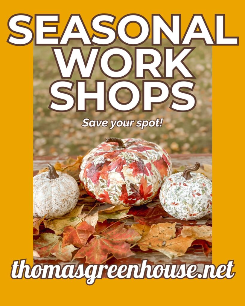 seasonal-workshops-october-savings-thomas-greenhouse Thomas Greenhouse October Savings sign for seasonal workshops with gold background and decorative pumpkins made from fall leaves and text Save your spot